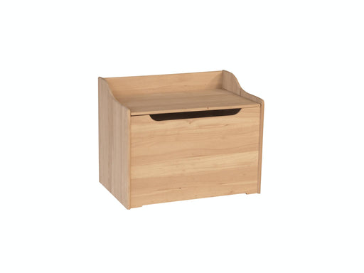 Juvenile 29'' Storage Chest / Toy Chest image