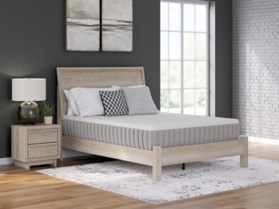 Terra Sleep Medium Mattress - Yankee Furniture Barn (Ossipee,NH)