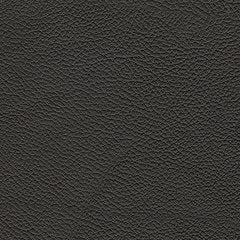 5Z-Relaxation Power Reclining Sofa - Yankee Furniture Barn (Ossipee,NH)